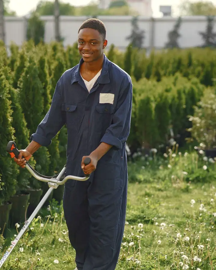 Tyler running the string trimmer along a row of arborvitae